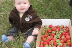 At The Strawberry Patch